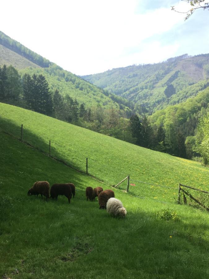 Buechlhof - App. Breitenstein リリエンフェルト郡 エクステリア 写真