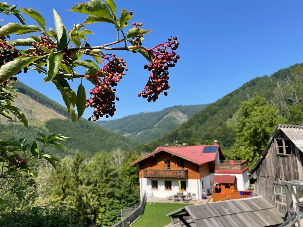 Buechlhof - App. Breitenstein リリエンフェルト郡 エクステリア 写真