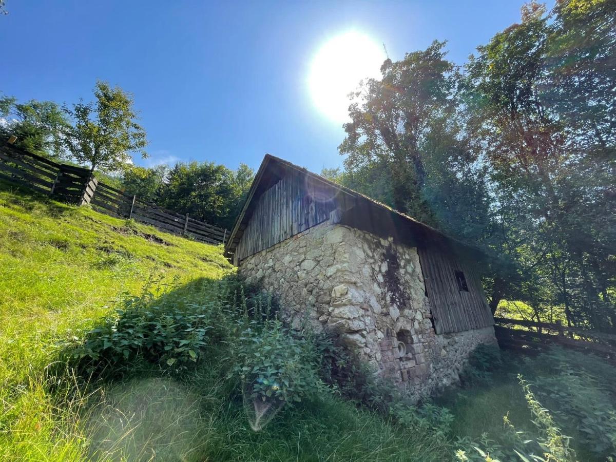 Buechlhof - App. Breitenstein リリエンフェルト郡 エクステリア 写真